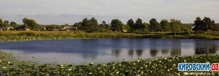 Озёра и болота Кировского муниципального округа