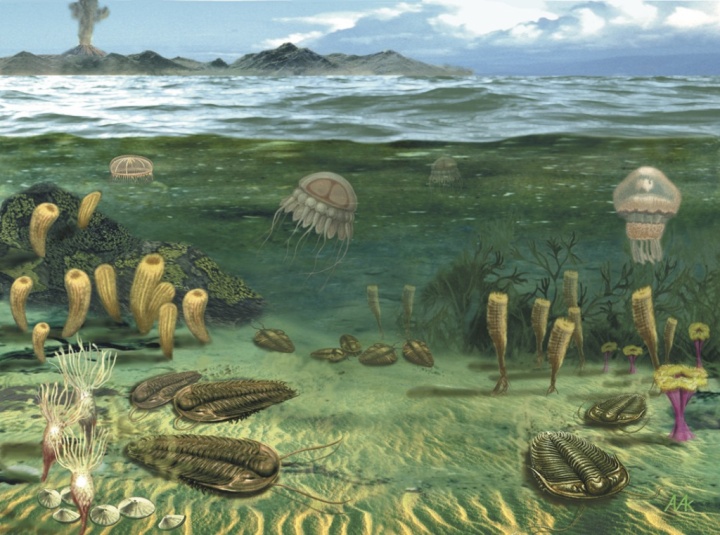 История геологического развития Кировского района