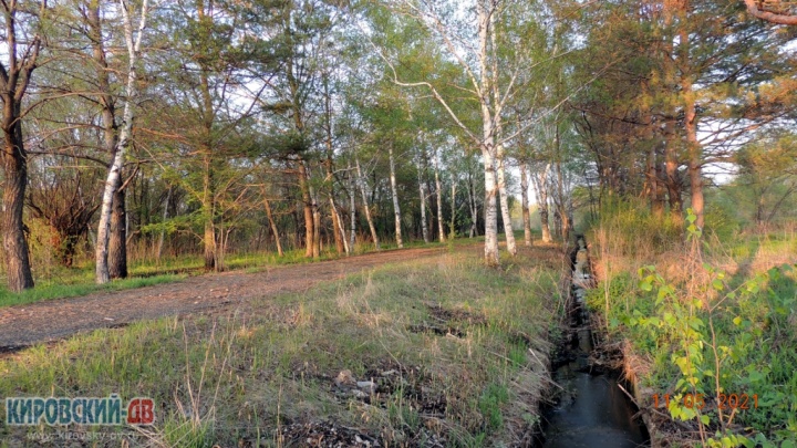 Аллея бывшего лагеря Альбатрос Аллея бывшего лагеря Альбатрос