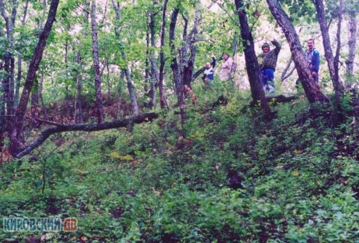 Валы Юрковское городище
