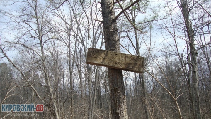 Большеключевской. Олесин ключ Большеключевской. Олесин ключ