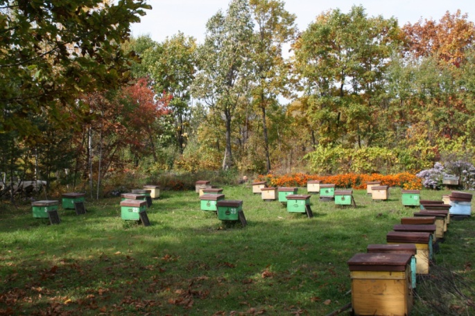 Дача Сергея Сергеевича Гришина