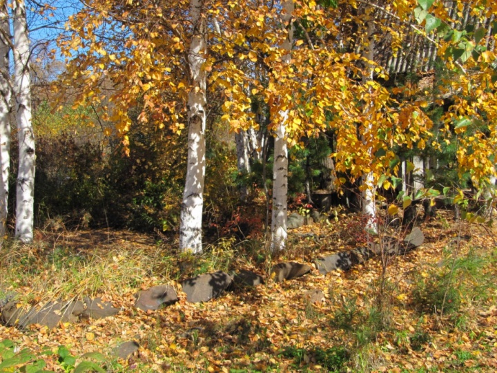 Дача Сергея Сергеевича Гришина