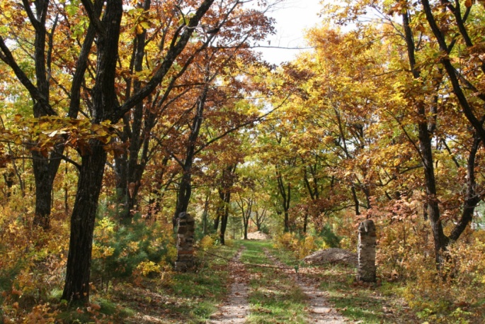 Подъезд к даче Сергея Сергеевича Гришина