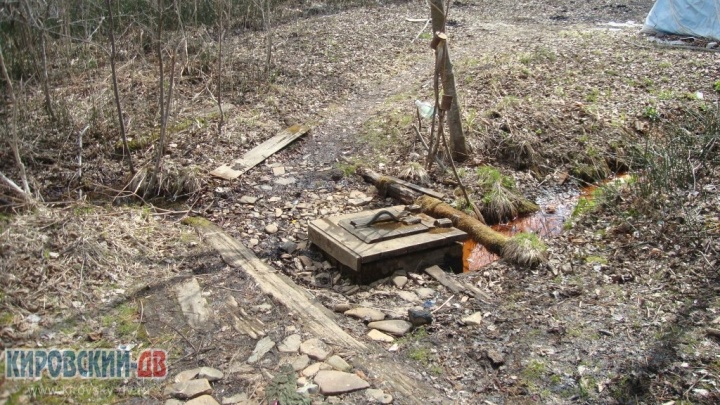 Большеключевской. Олесин ключ Большеключевской. Олесин ключ