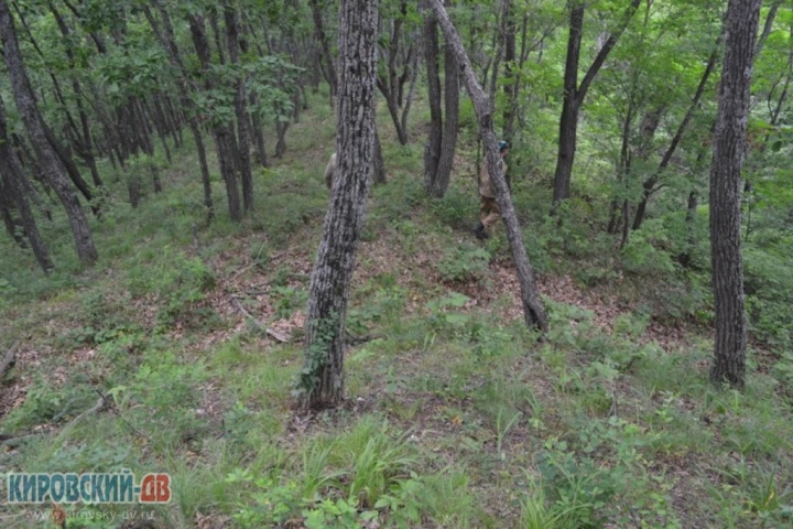 Ров по периметру