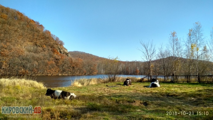 Озеро в селе Подгорное