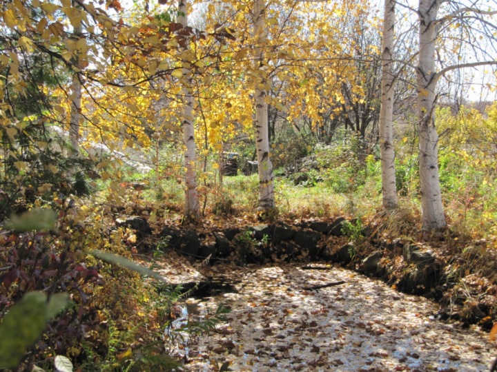 Дача Сергея Сергеевича Гришина