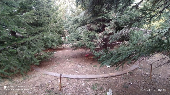 Зарастающая рельса аттракциона Пароход Зарастающая рельса аттракциона Пароход