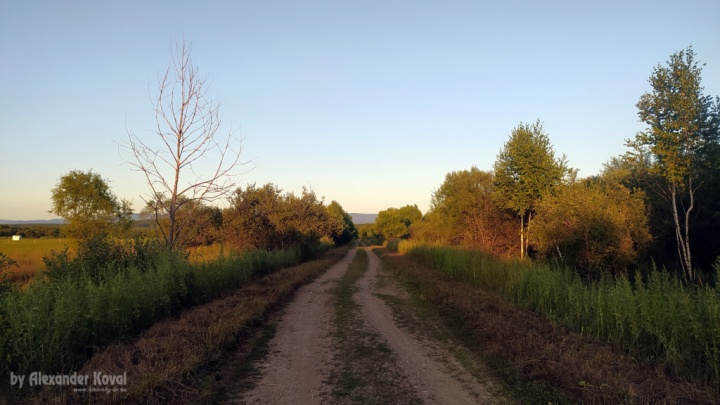 Родниковая улица в посёлке Кировский