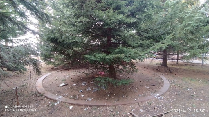 Зарастающая рельса аттракциона Пароход Зарастающая рельса аттракциона Пароход