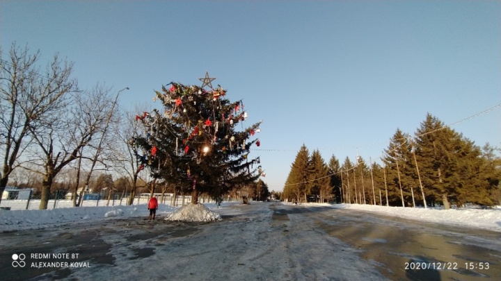 Ёлка установлена к встрече 2021 года Ёлка установлена к встрече 2021 года