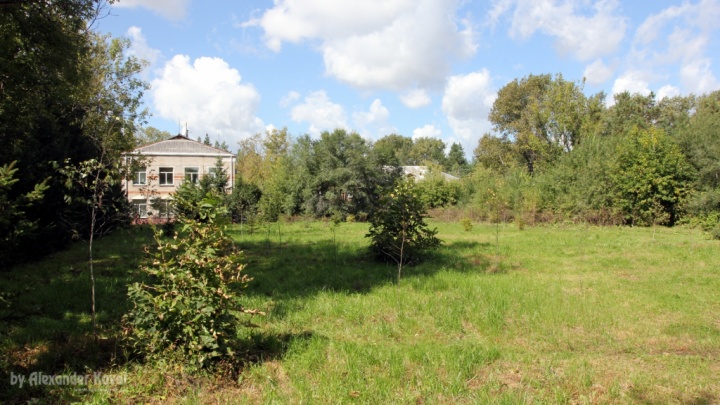 Сквер Дети Войны - Сентябрь 2014 Сквер Дети Войны - Сентябрь 2014