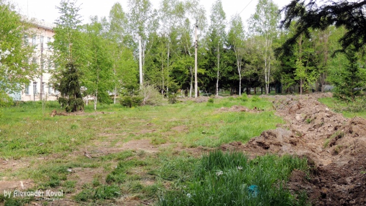 Сквер Дети Войны - май 2022 Сквер Дети Войны - май 2022