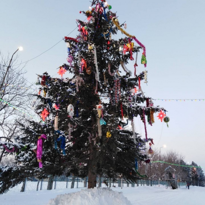 Ёлка установлена к встрече 2020 года Ёлка установлена к встрече 2020 года