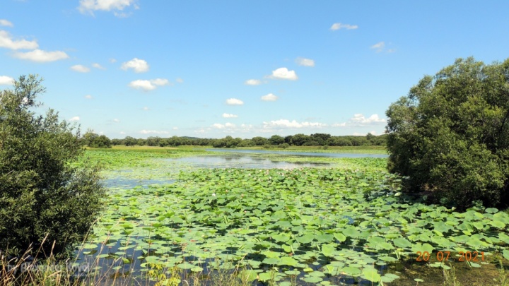 Дамба в пгт. Кировский Дамба в пгт. Кировский