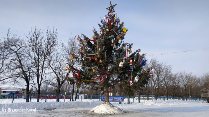 Ёлка установлена к встрече 2022 года Ёлка установлена к встрече 2022 года