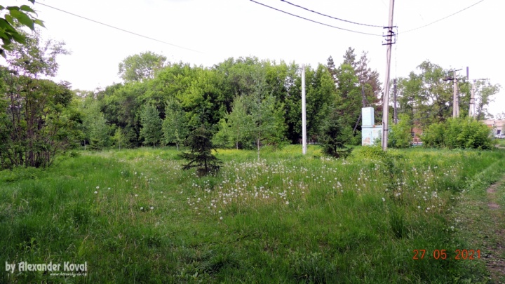 Сквер Дети Войны - май 2021 Сквер Дети Войны - май 2021