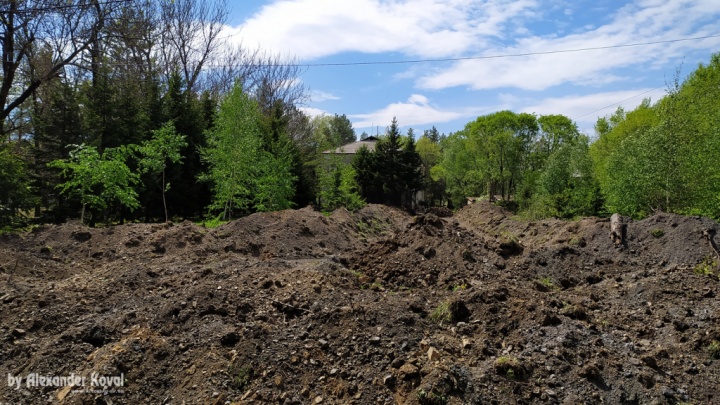 Сквер Дети Войны - май 2022 Сквер Дети Войны - май 2022