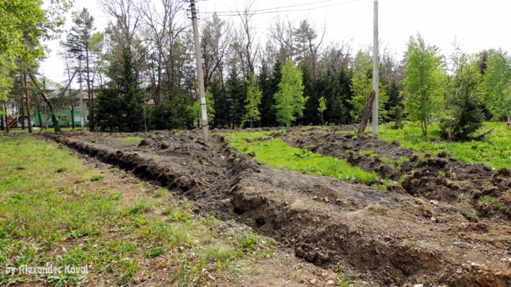 Сквер Дети Войны - май 2022 Сквер Дети Войны - май 2022