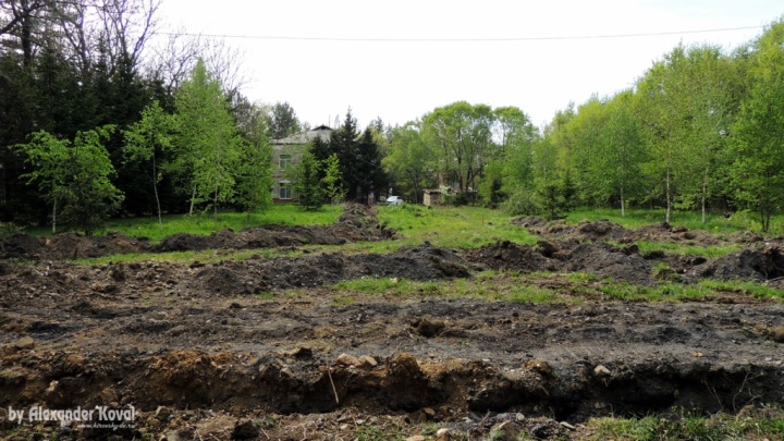 Сквер Дети Войны - май 2022 Сквер Дети Войны - май 2022