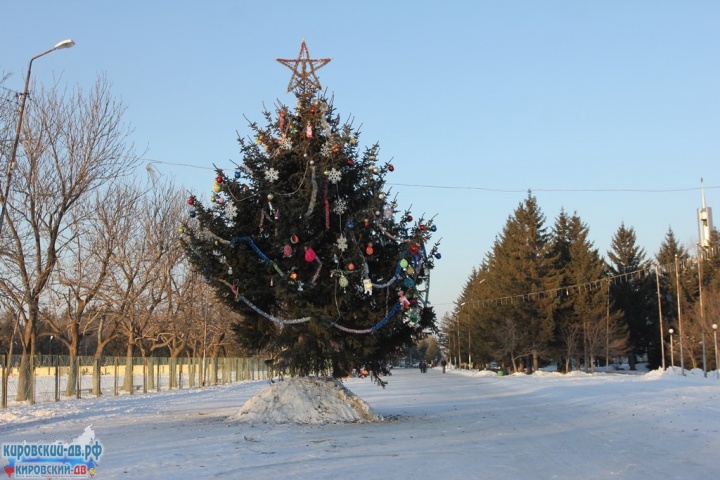 Ёлка установлена к встрече 2016 года Ёлка установлена к встрече 2016 года