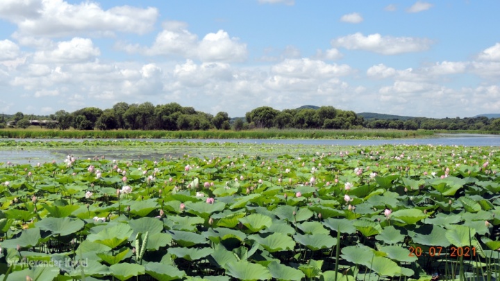 Дамба в пгт. Кировский Дамба в пгт. Кировский