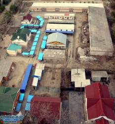 Цветы (магазин)